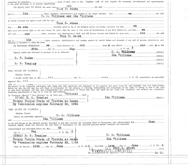 Click Here for Larger Image