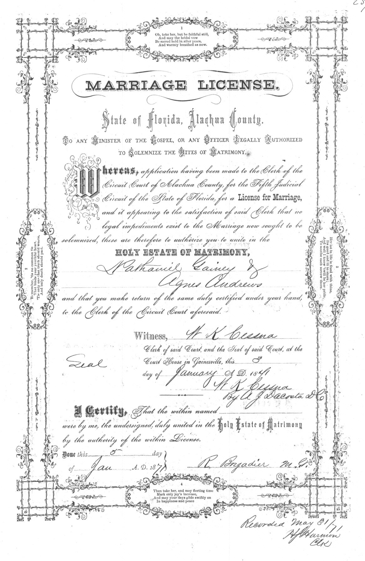 Click Here for Larger Image