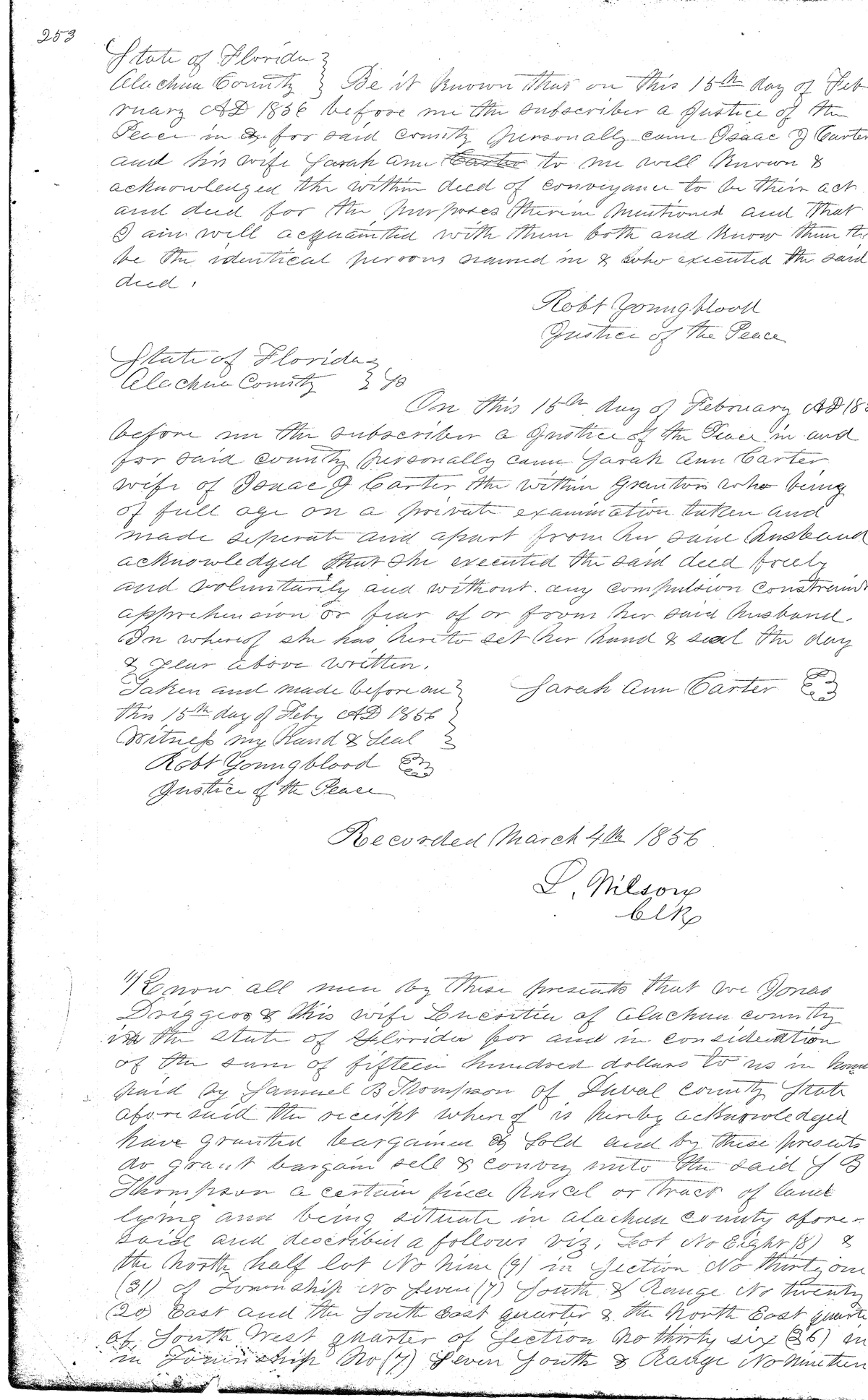 Click Here for Larger Image