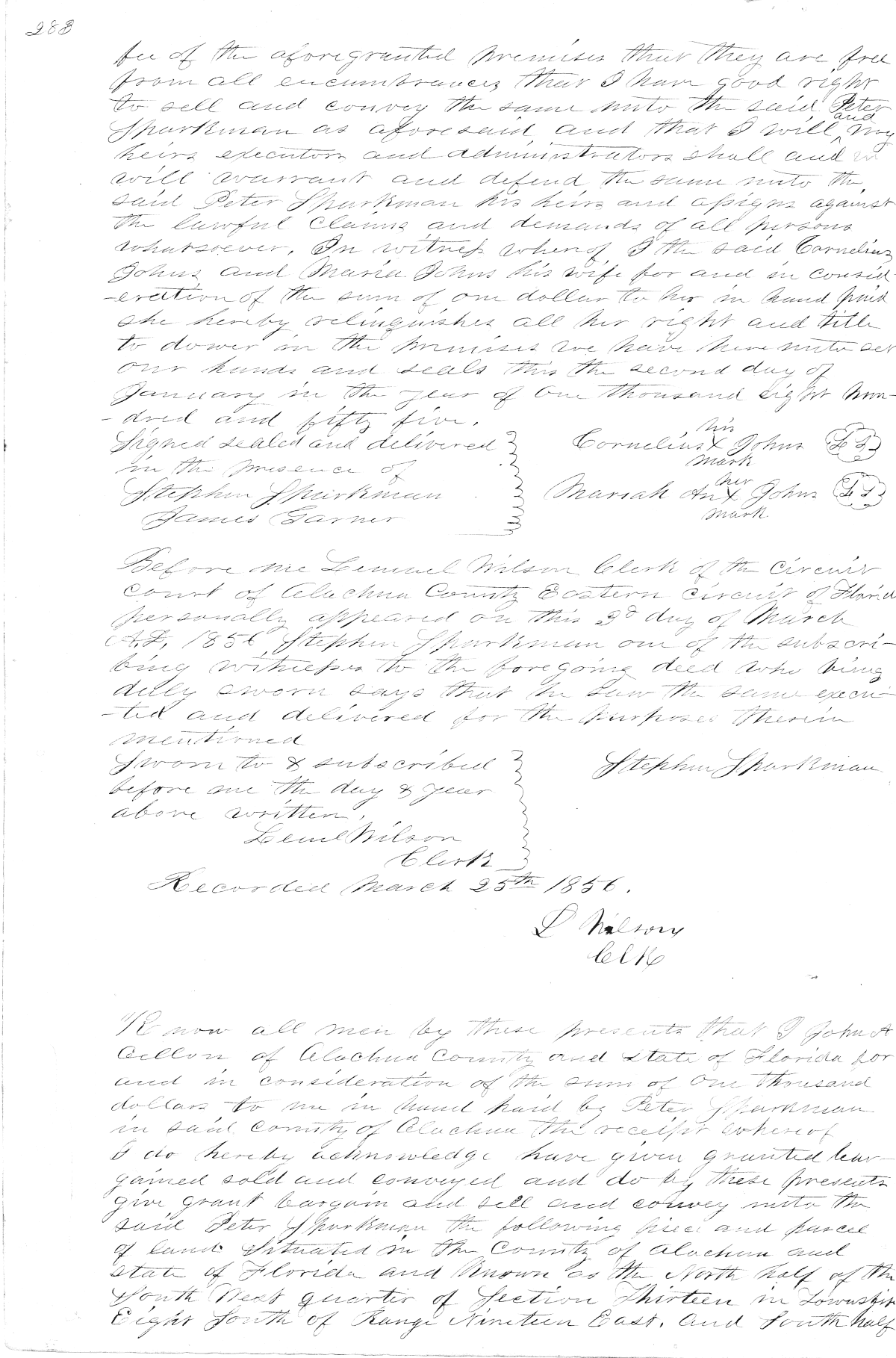 Click Here for Larger Image