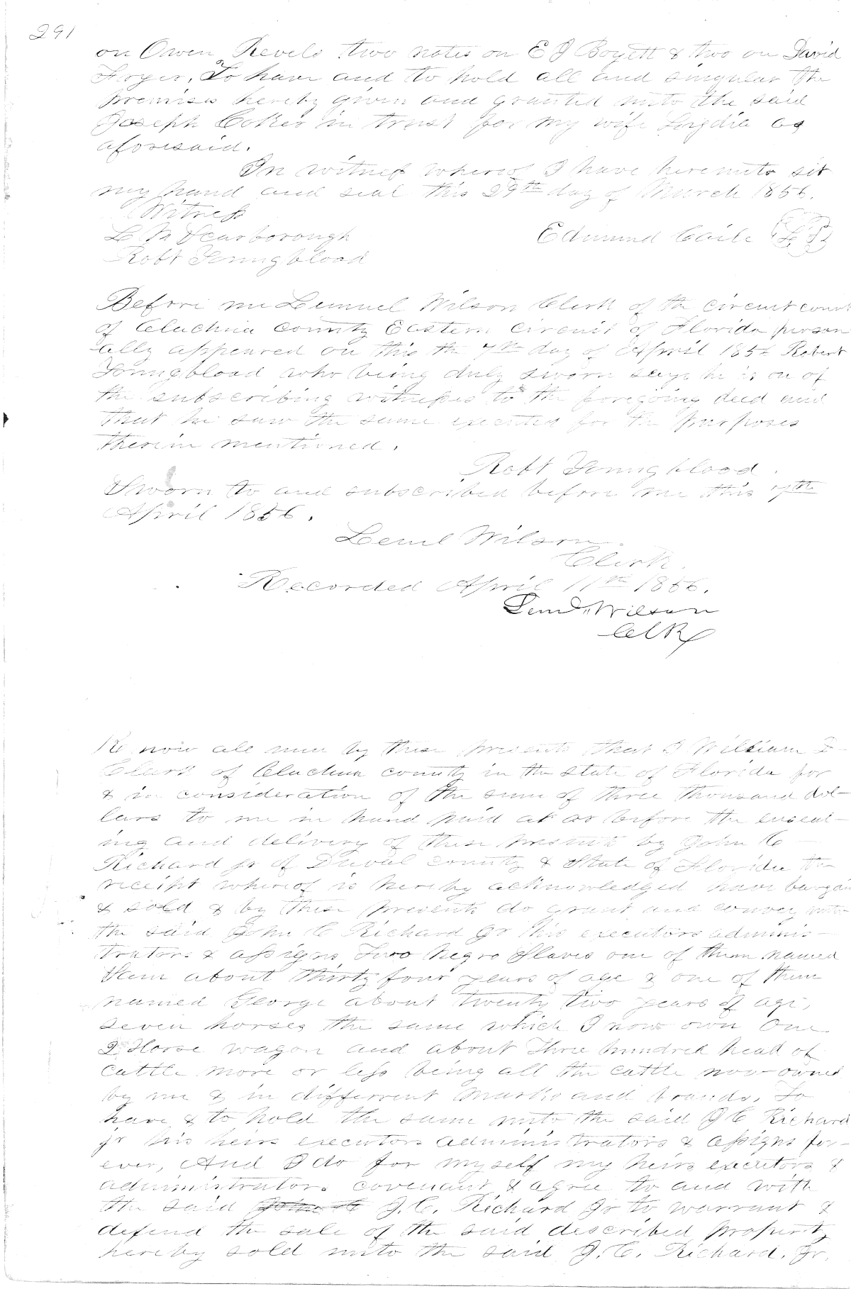 Click Here for Larger Image