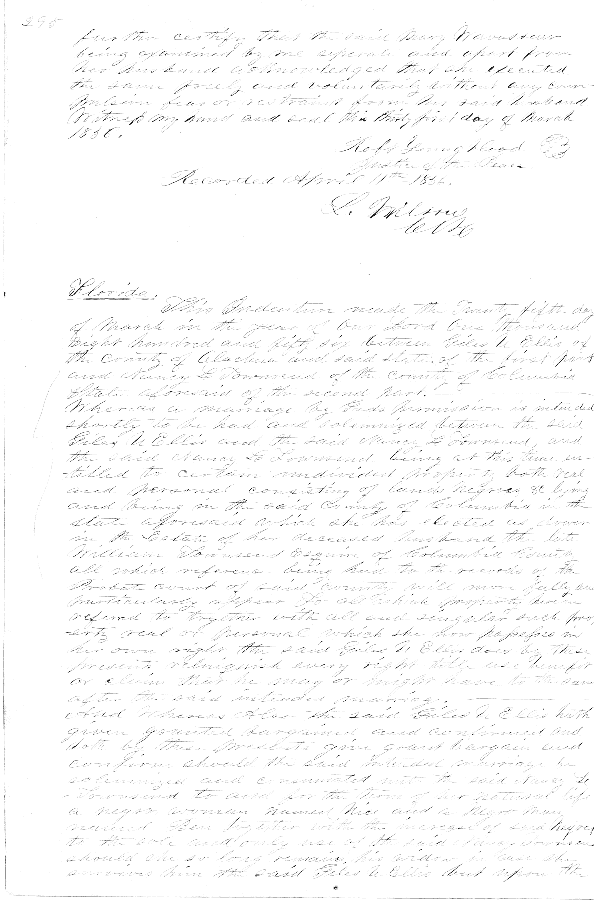 Click Here for Larger Image