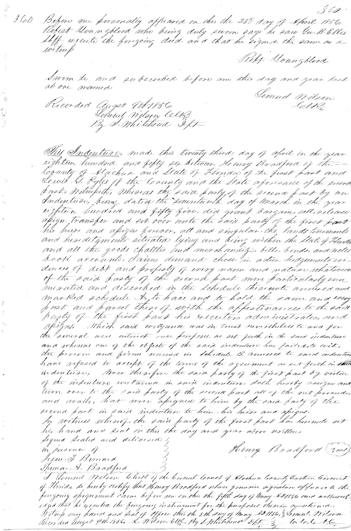 Click Here for Larger Image