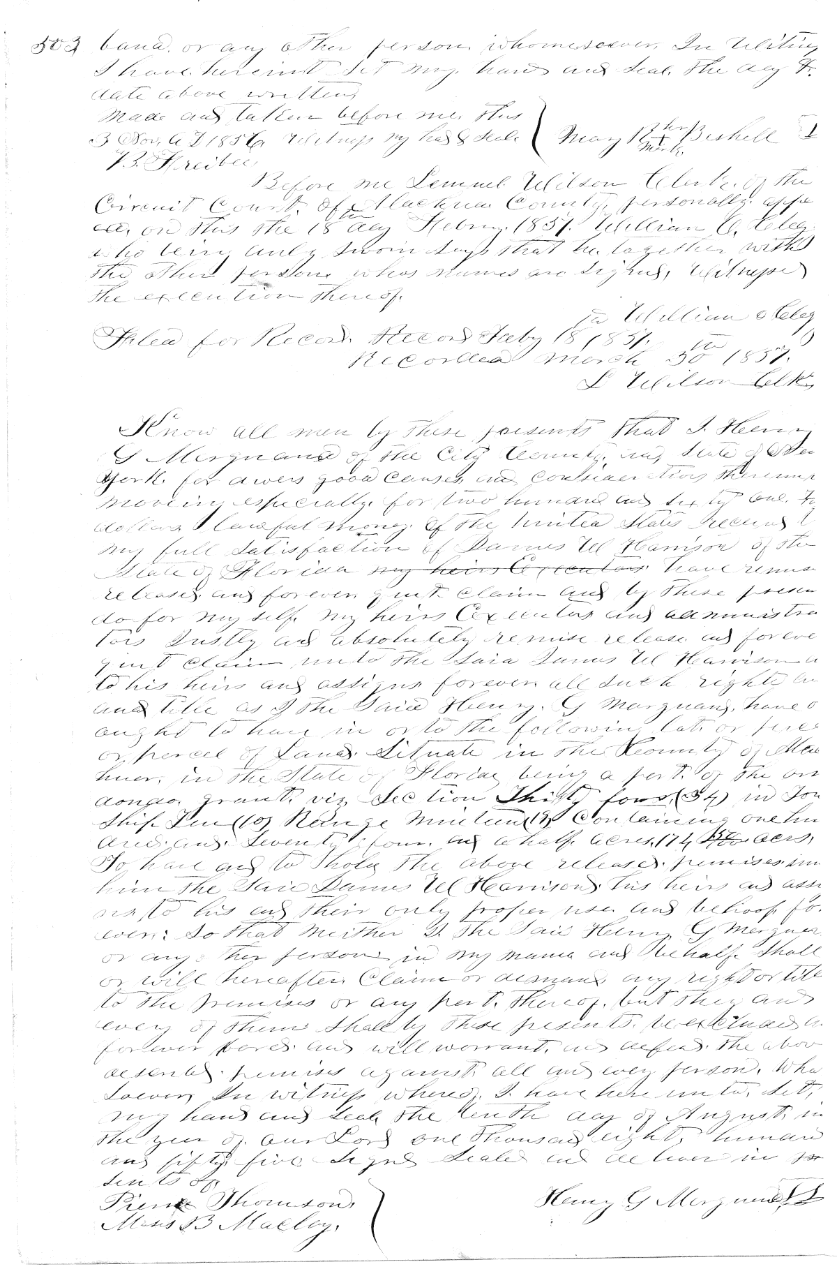 Click Here for Larger Image