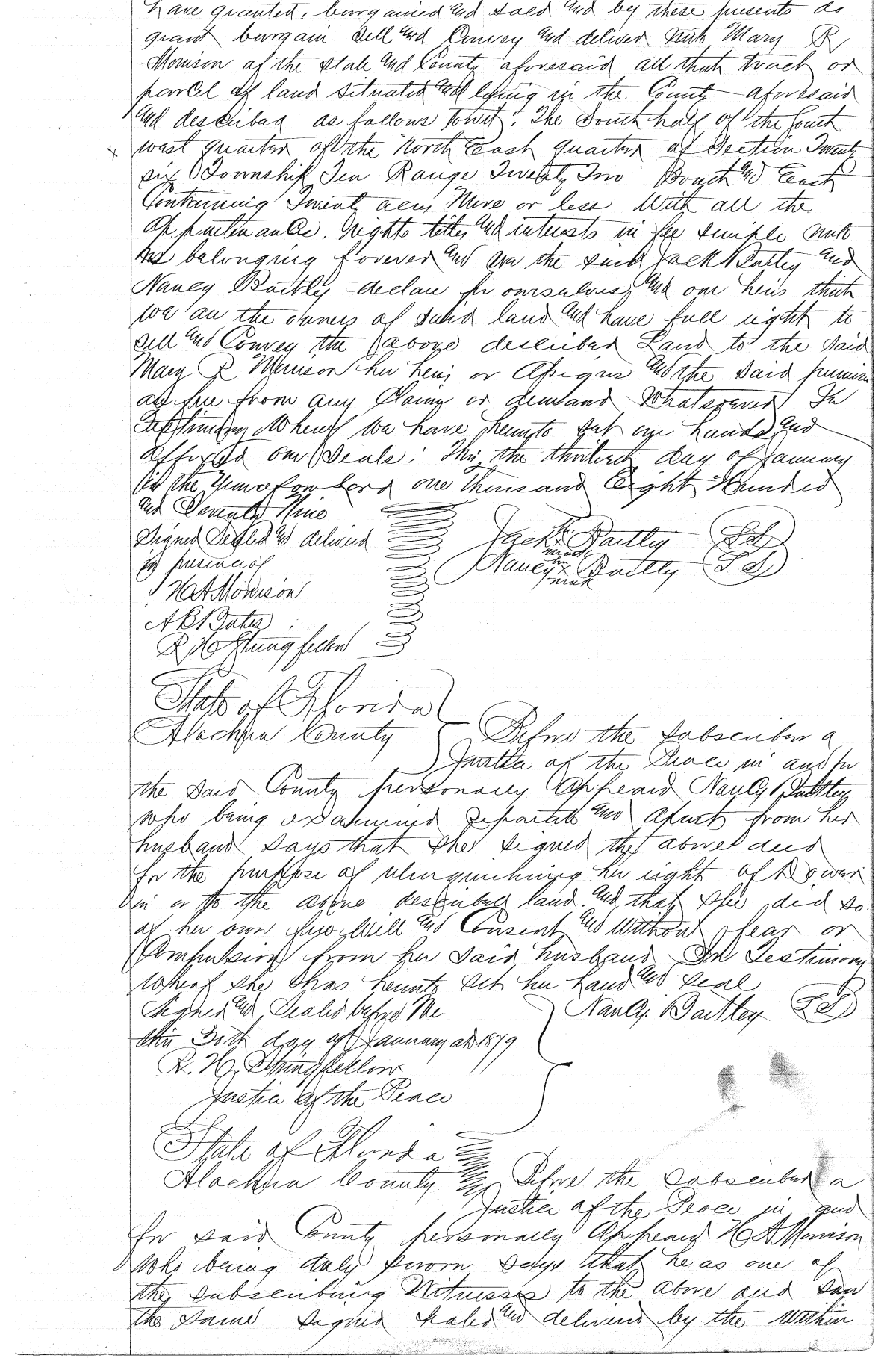 Click Here for Larger Image