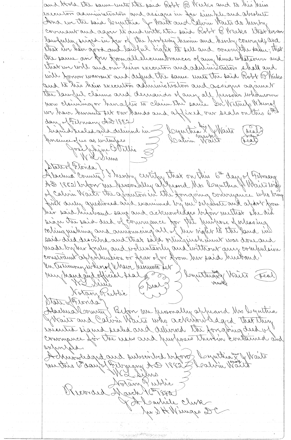 Click Here for Larger Image