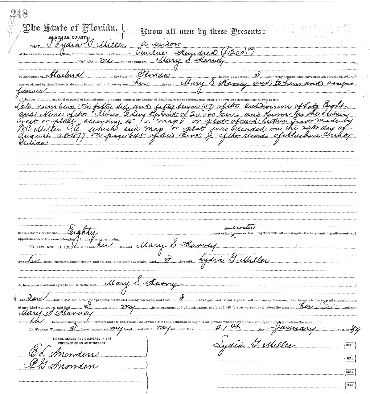 Click Here for Larger Image