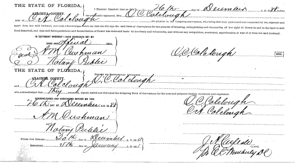 Click Here for Larger Image