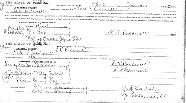 Click Here for Larger Image