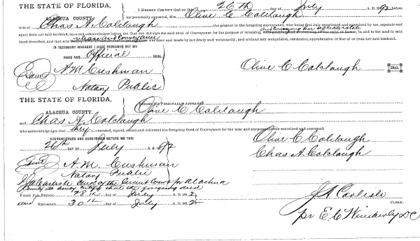 Click Here for Larger Image