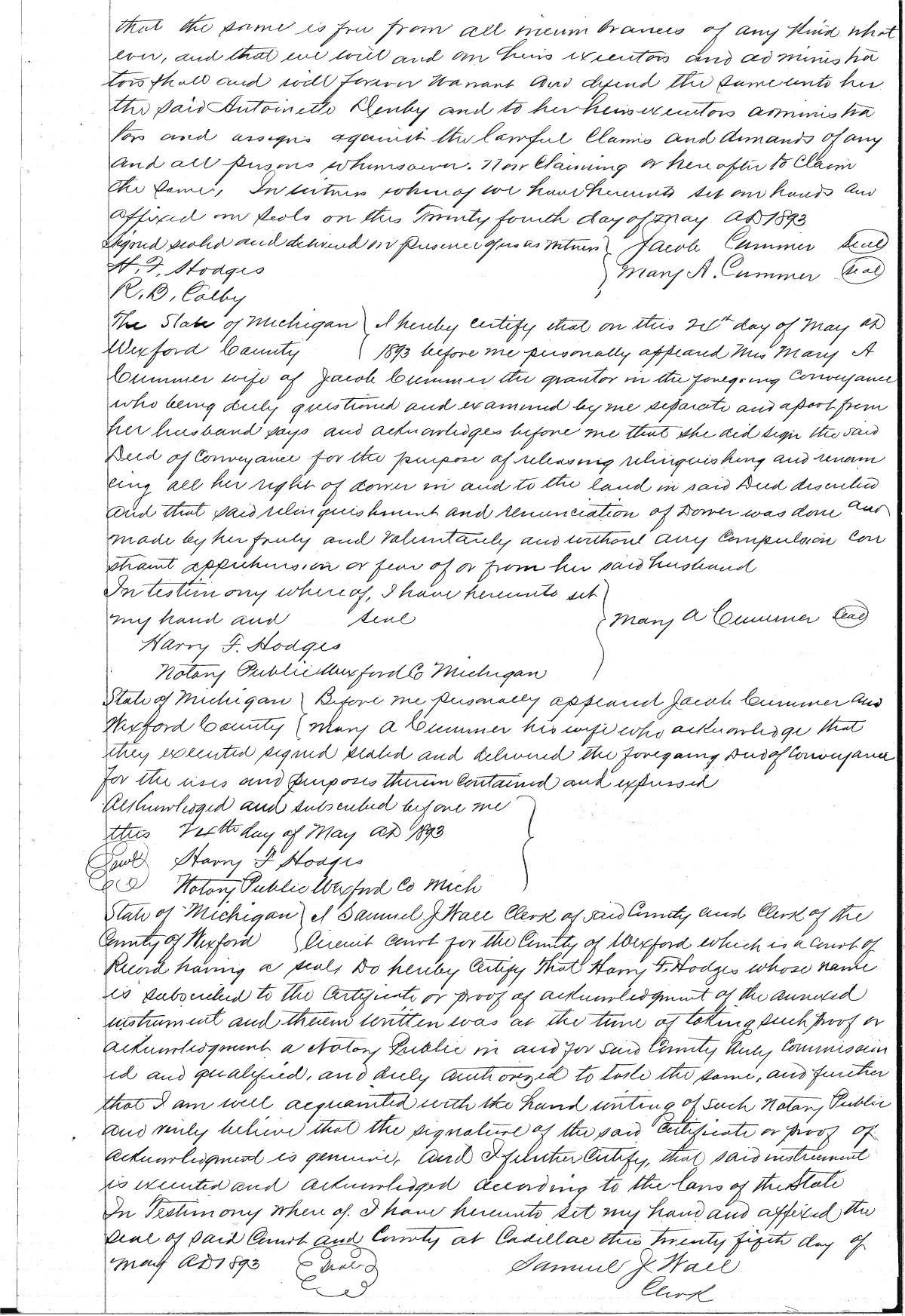 Click Here for Larger Image