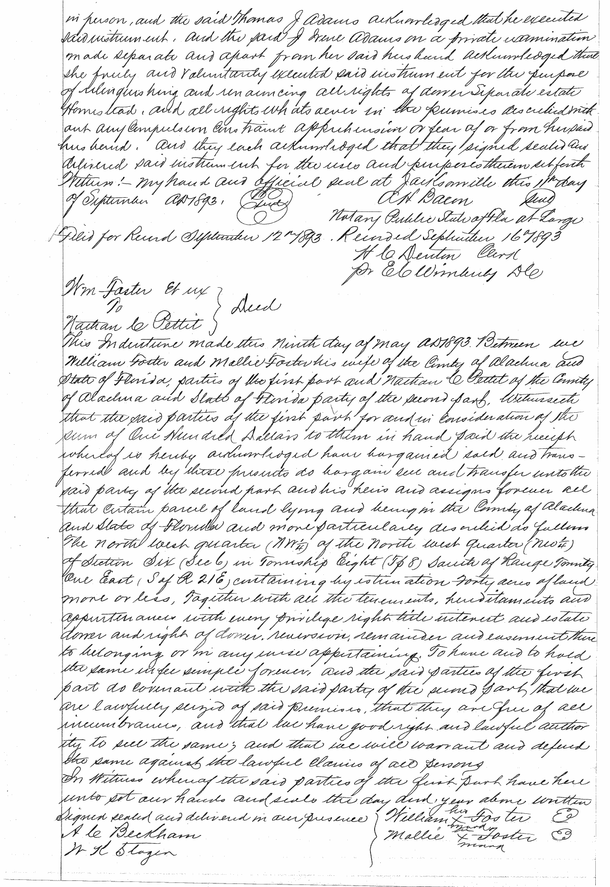 Click Here for Larger Image