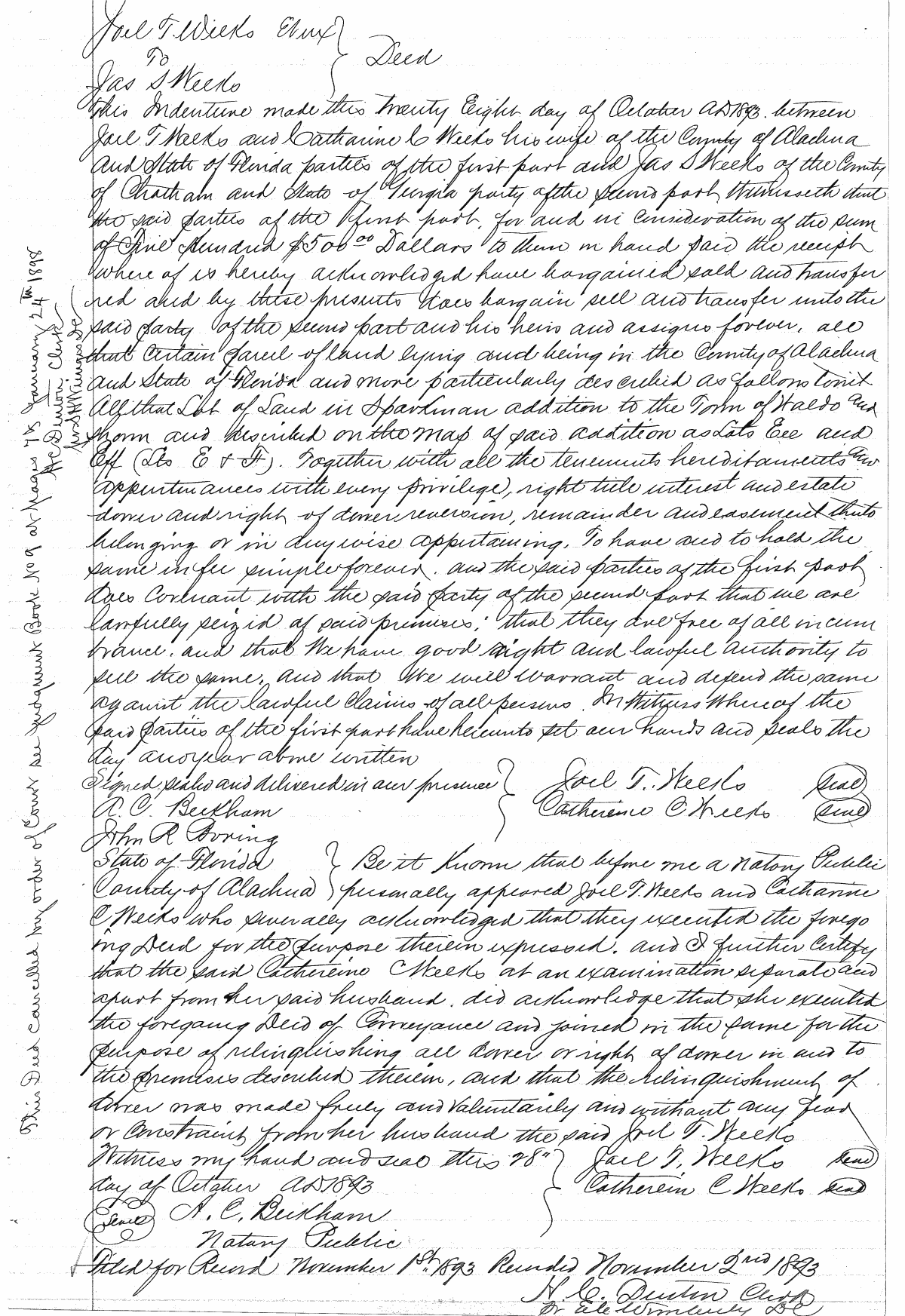 Click Here for Larger Image