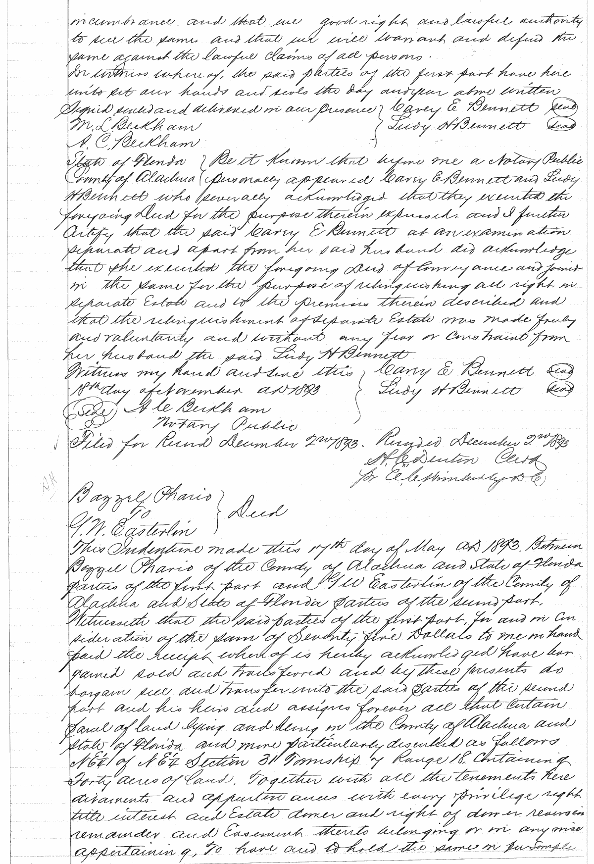 Click Here for Larger Image