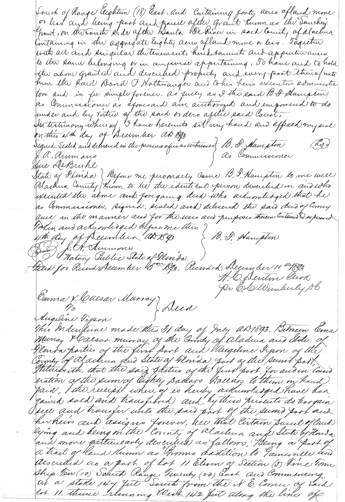 Click Here for Larger Image