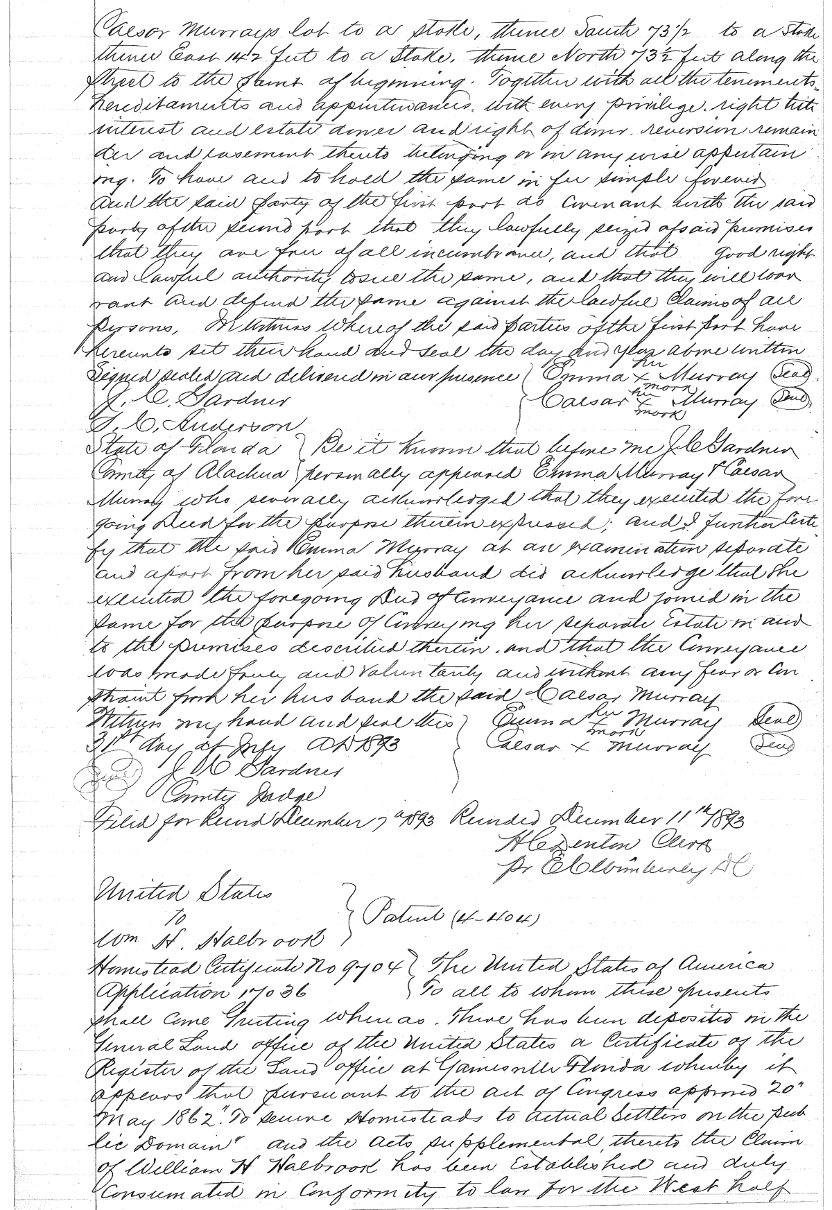 Click Here for Larger Image