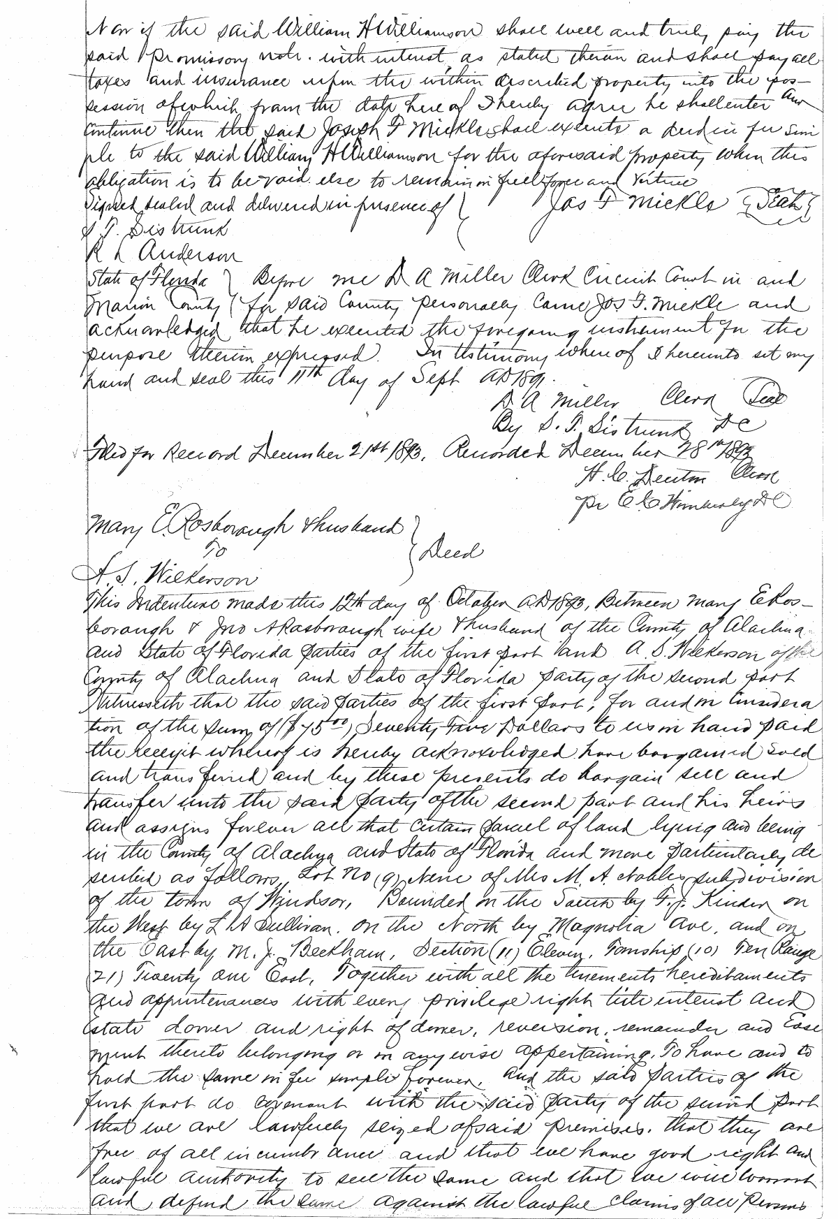 Click Here for Larger Image