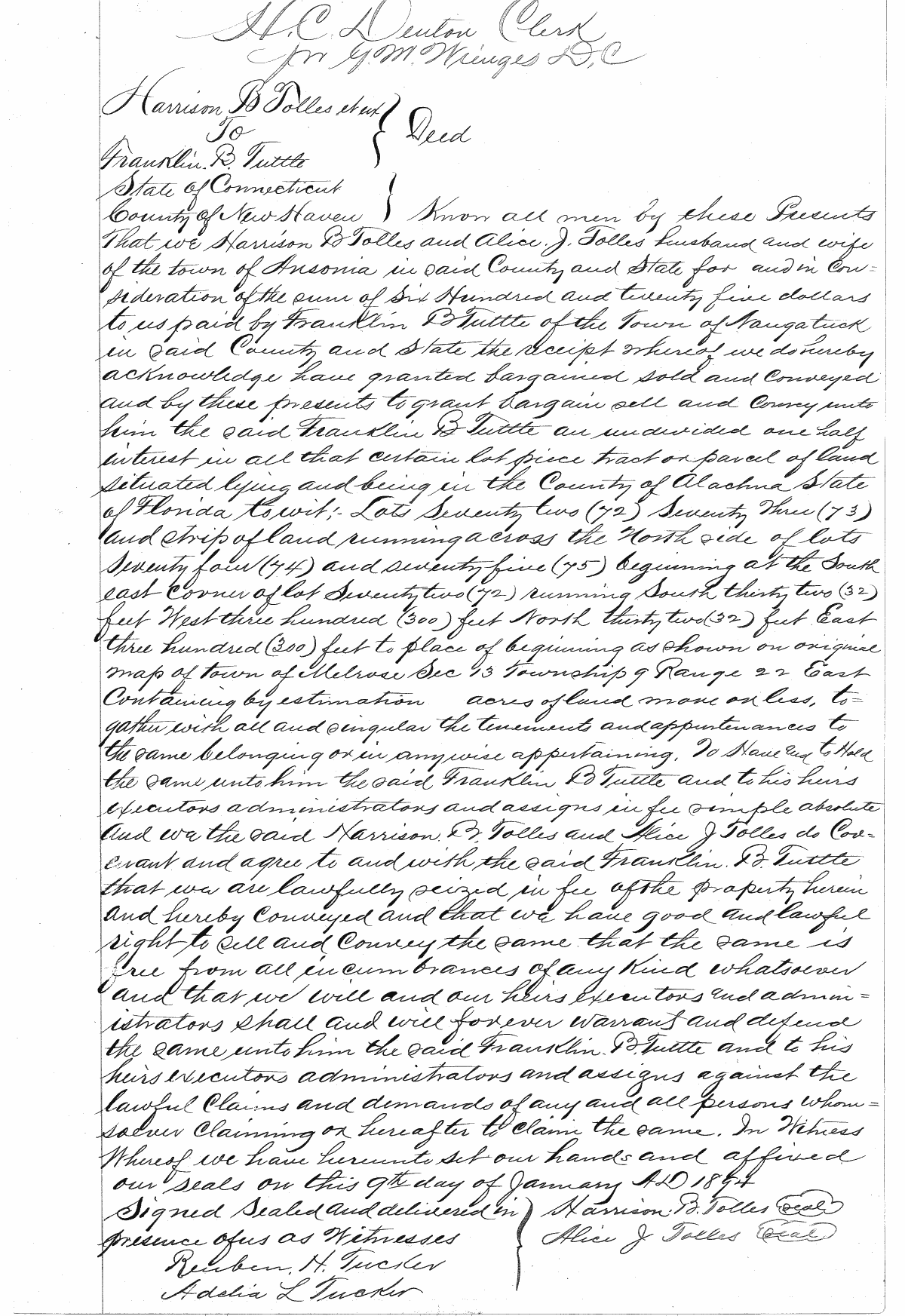 Click Here for Larger Image