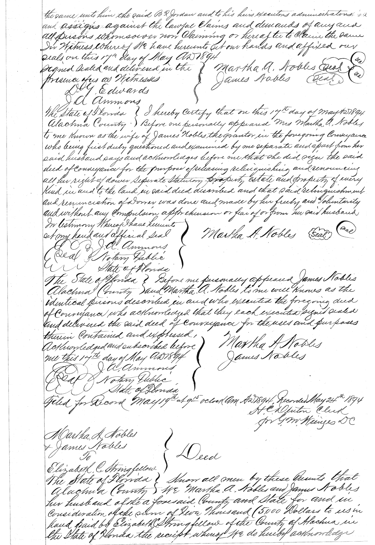 Click Here for Larger Image