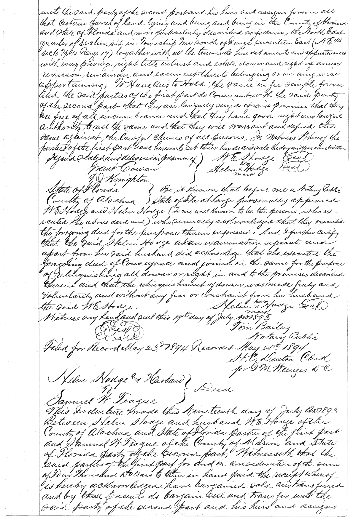 Click Here for Larger Image