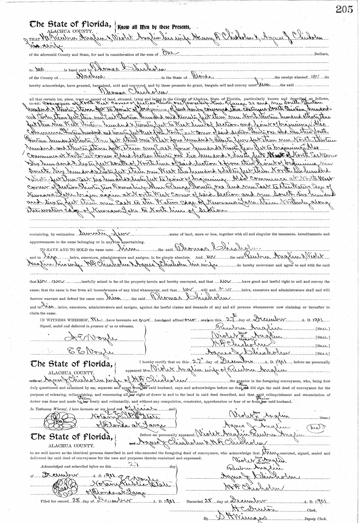 Click Here for Larger Image