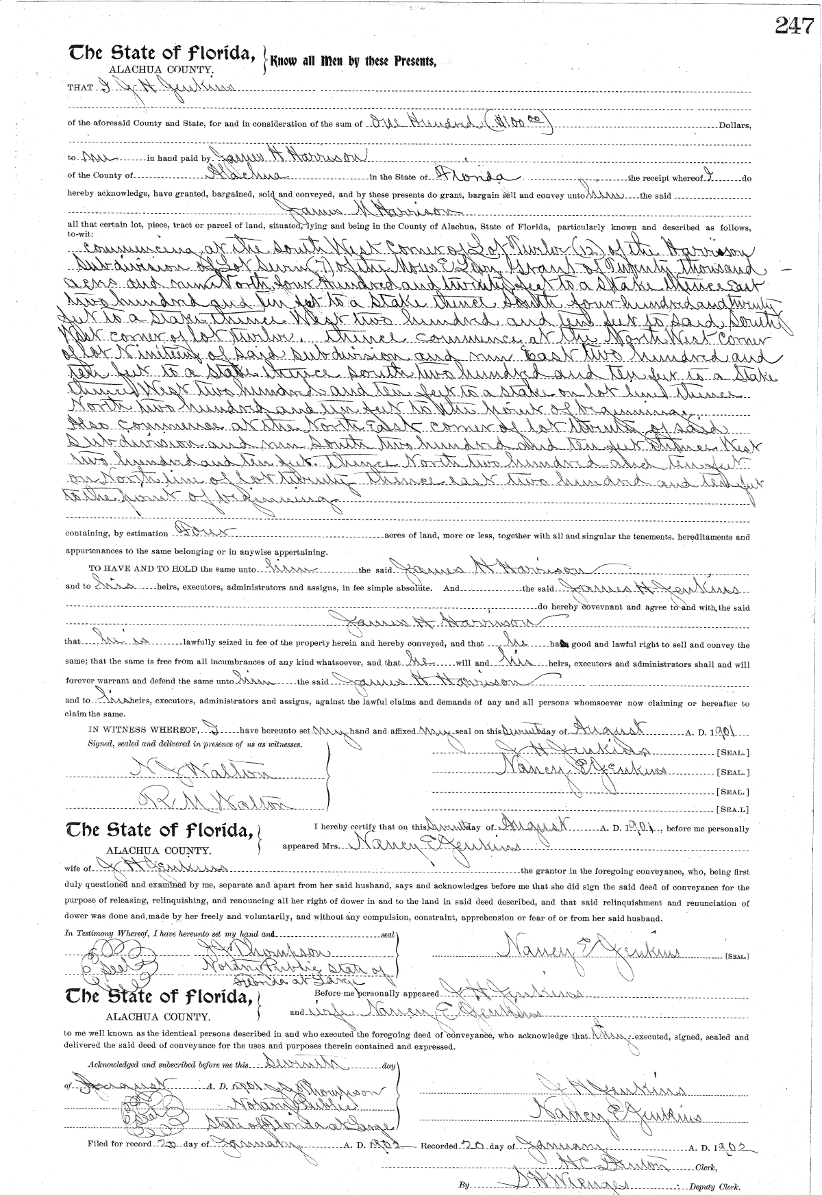 Click Here for Larger Image