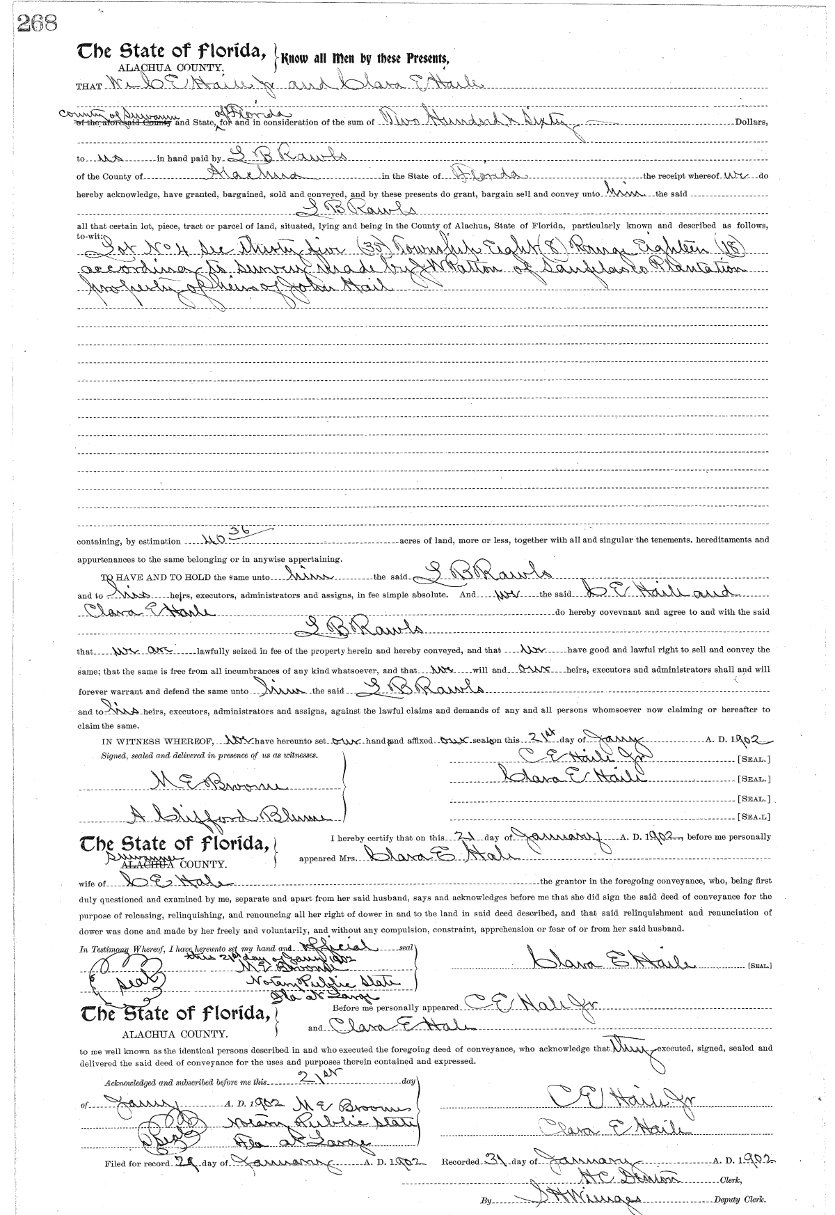 Click Here for Larger Image