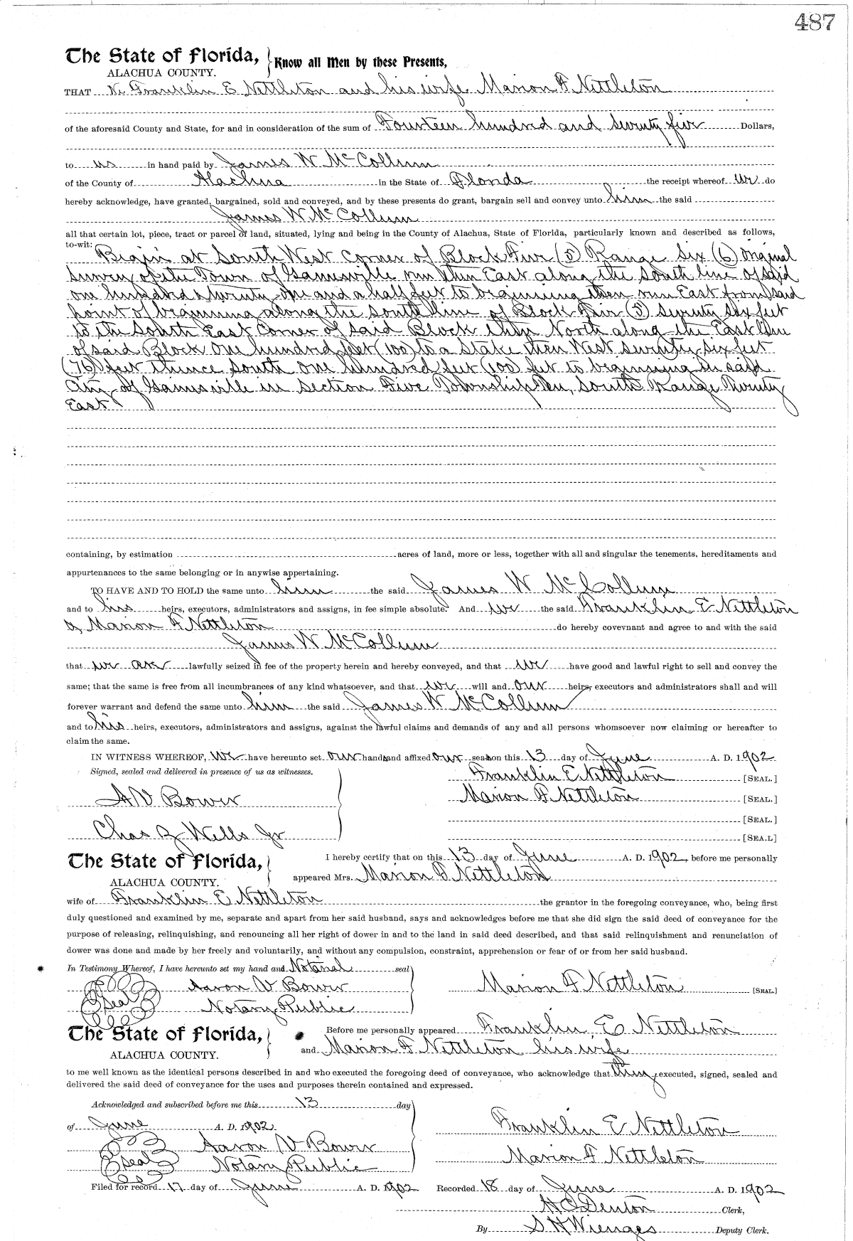 Click Here for Larger Image