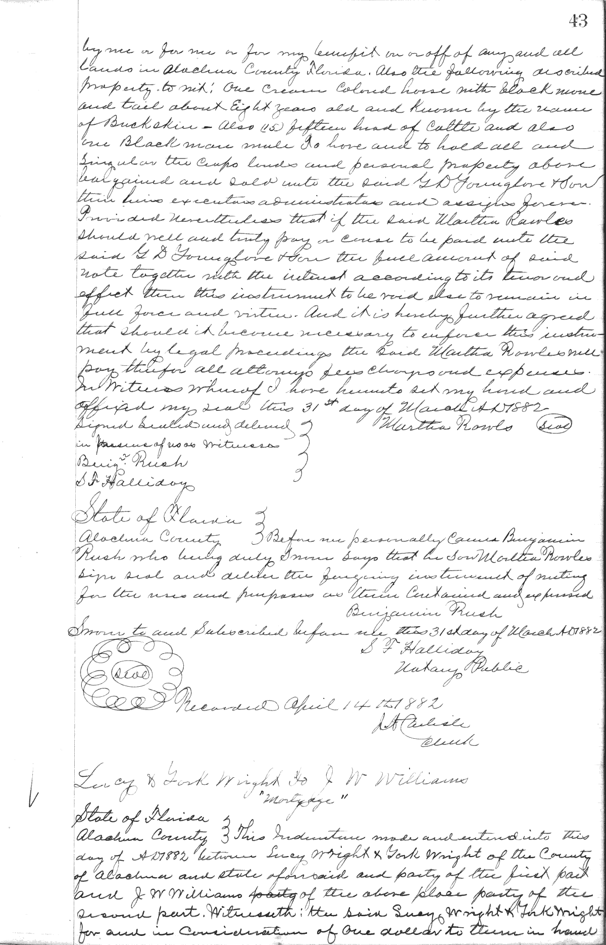Click Here for Larger Image