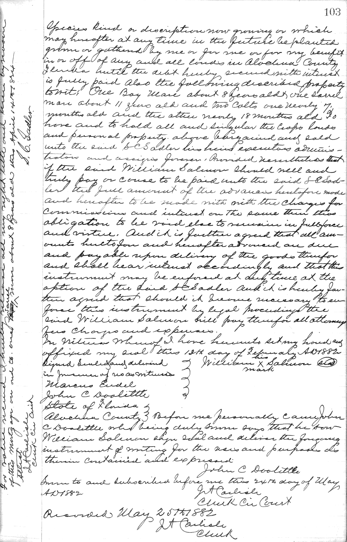 Click Here for Larger Image