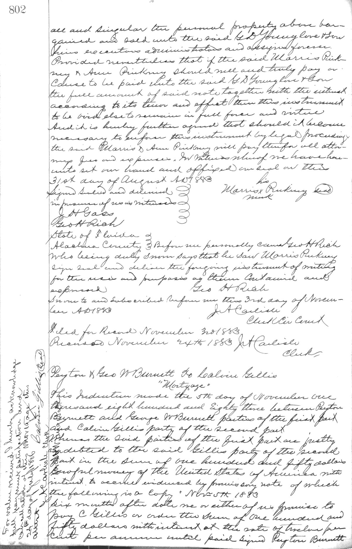 Click Here for Larger Image