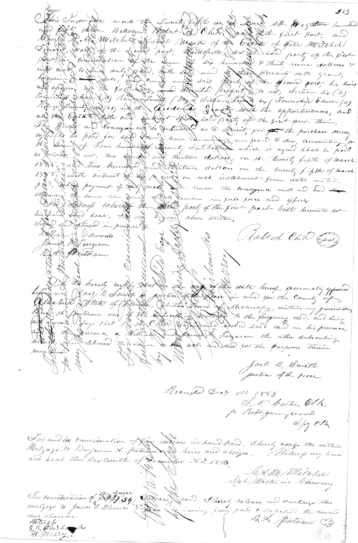 Click Here for Larger Image