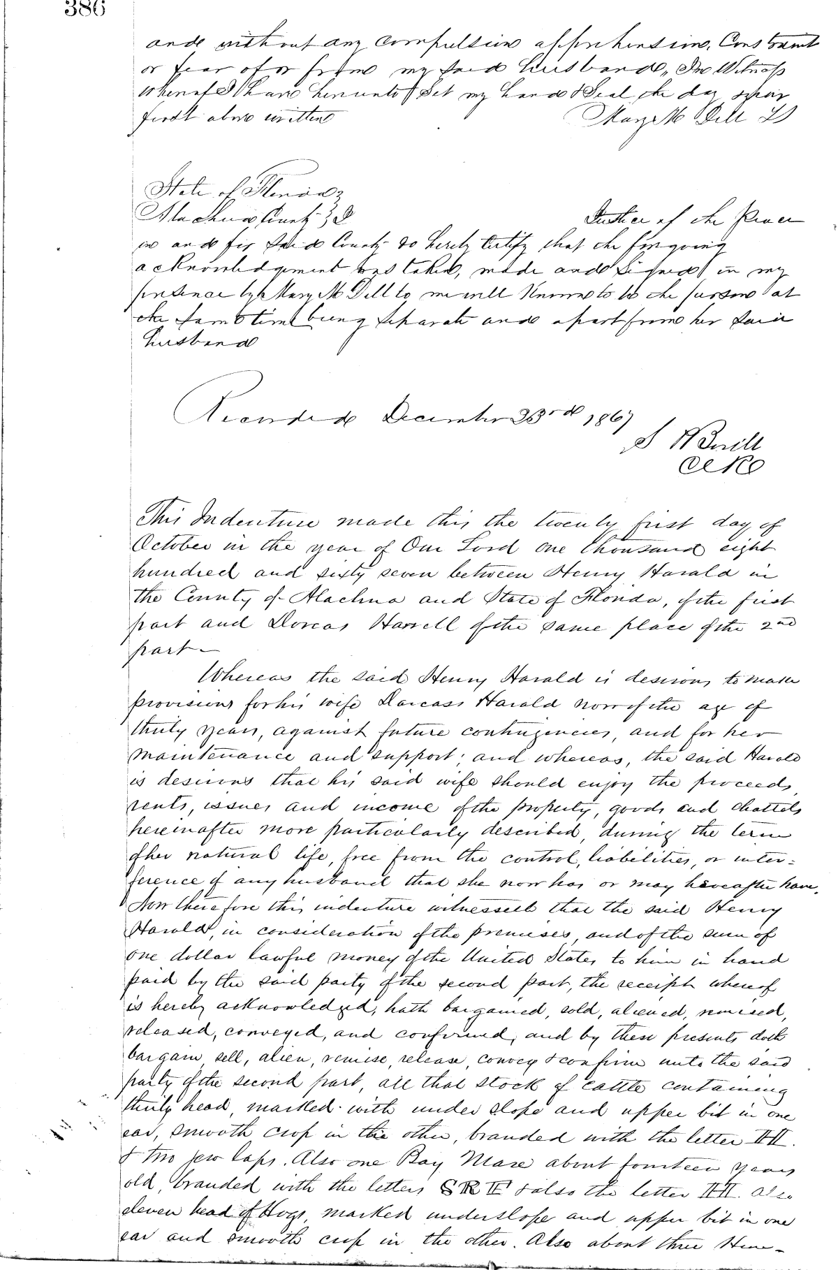 Click Here for Larger Image