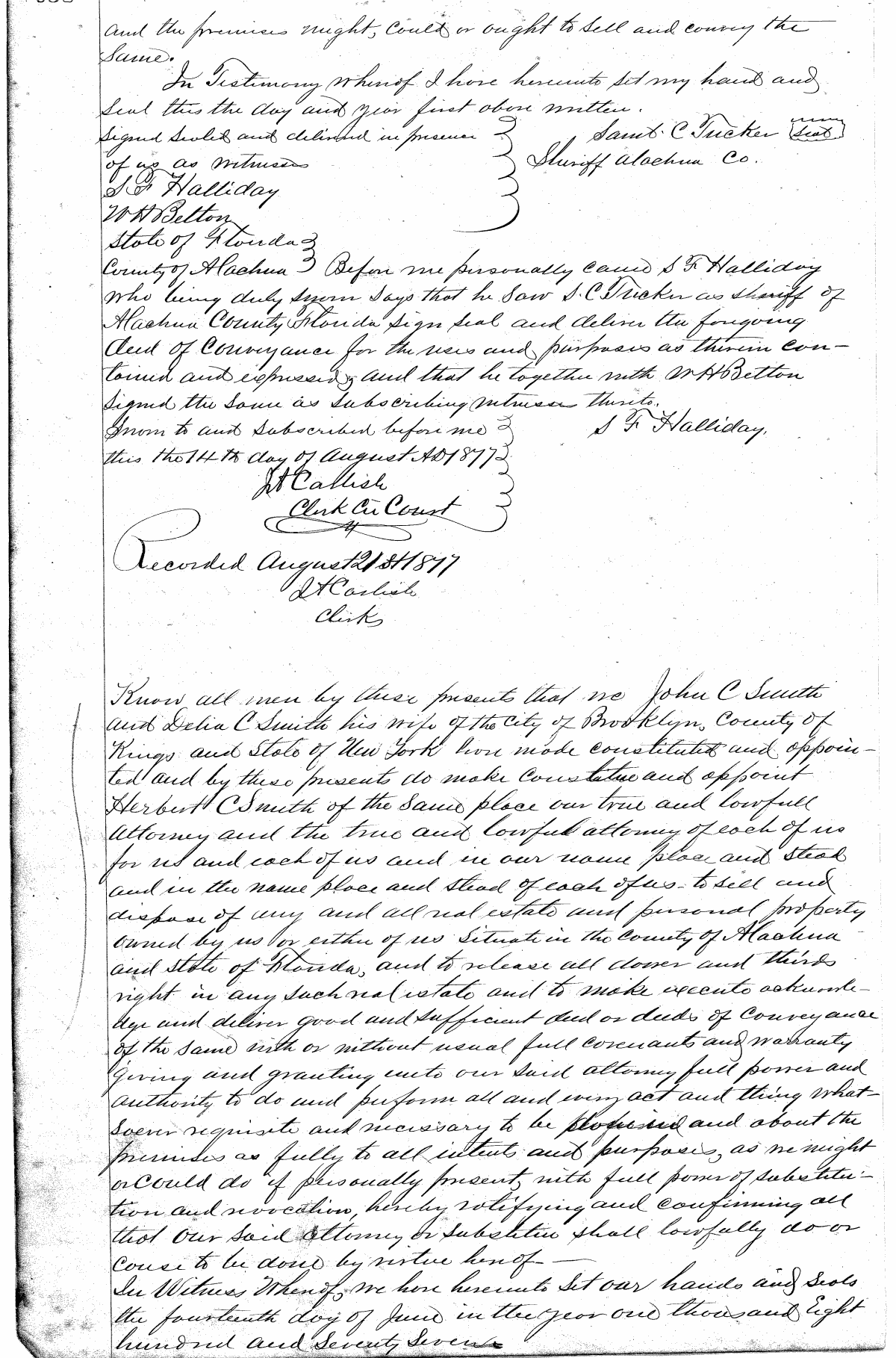 Click Here for Larger Image