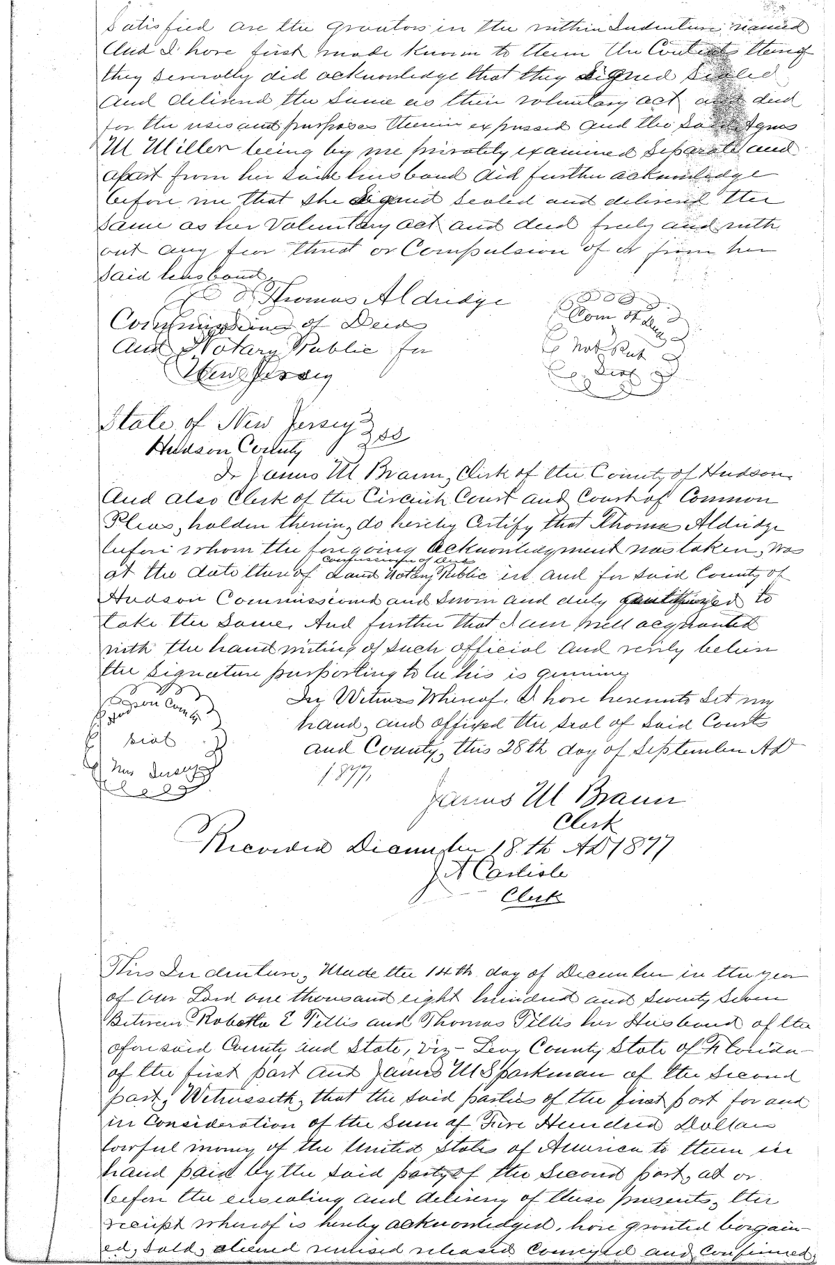 Click Here for Larger Image