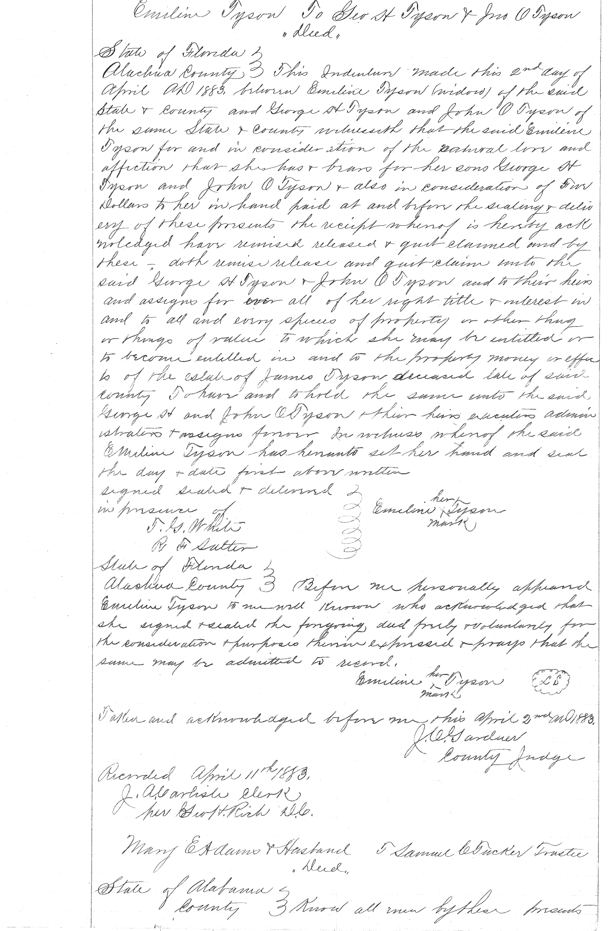 Click Here for Larger Image