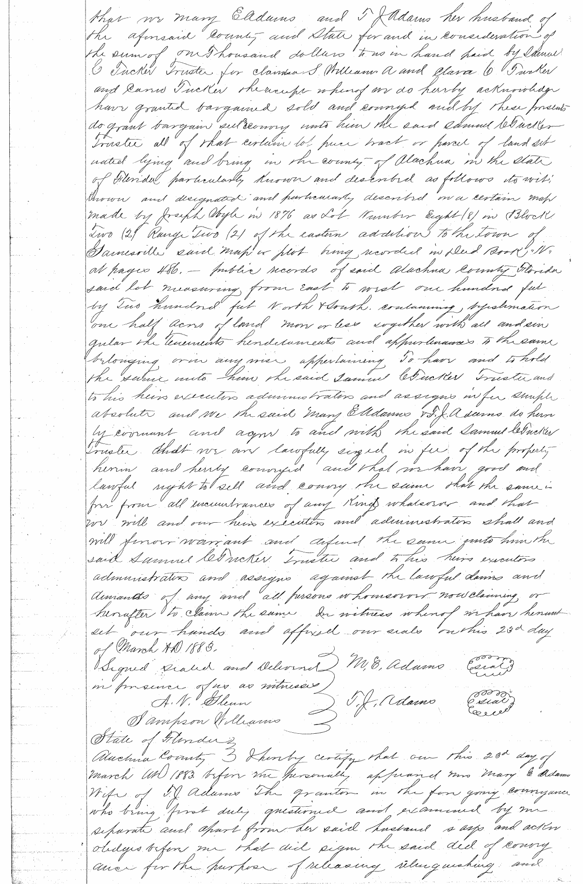 Click Here for Larger Image