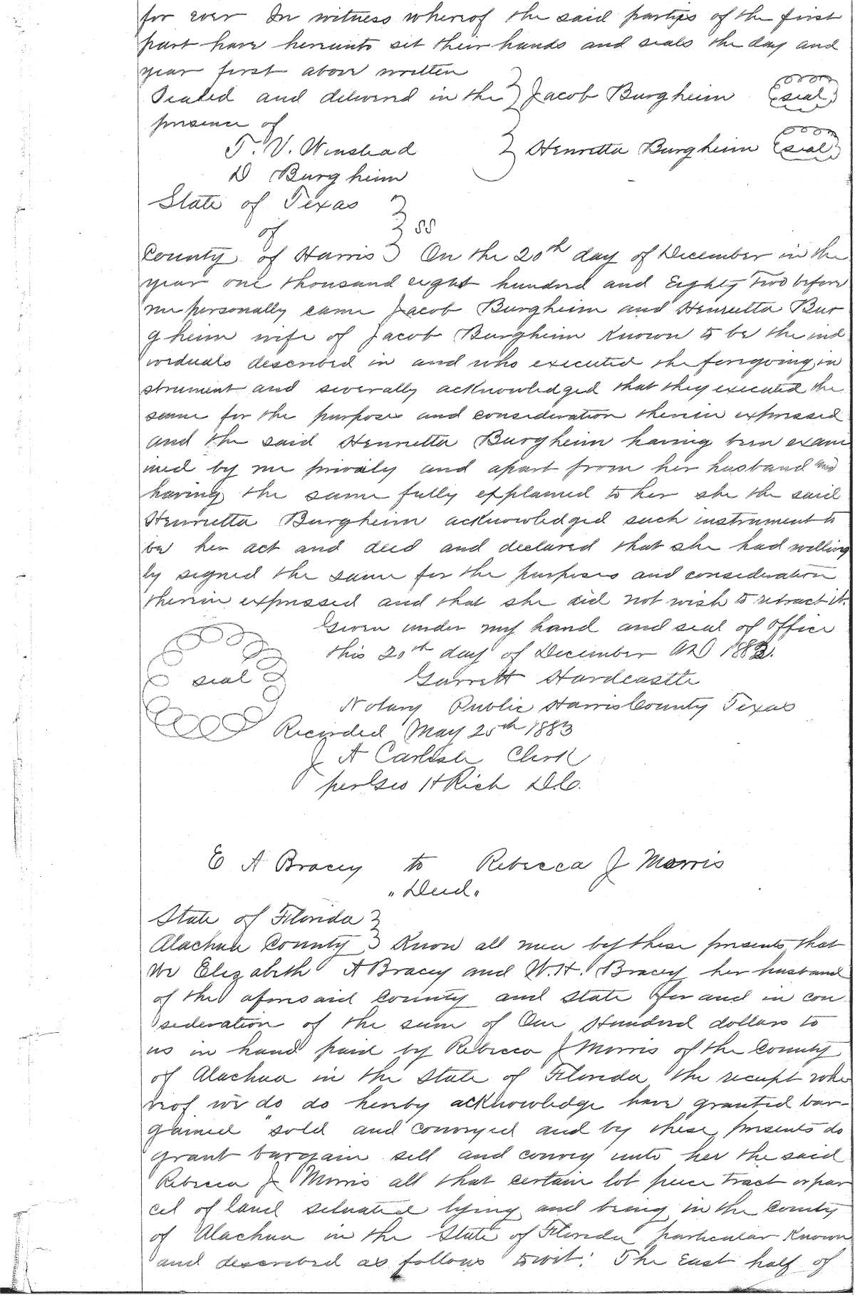 Click Here for Larger Image
