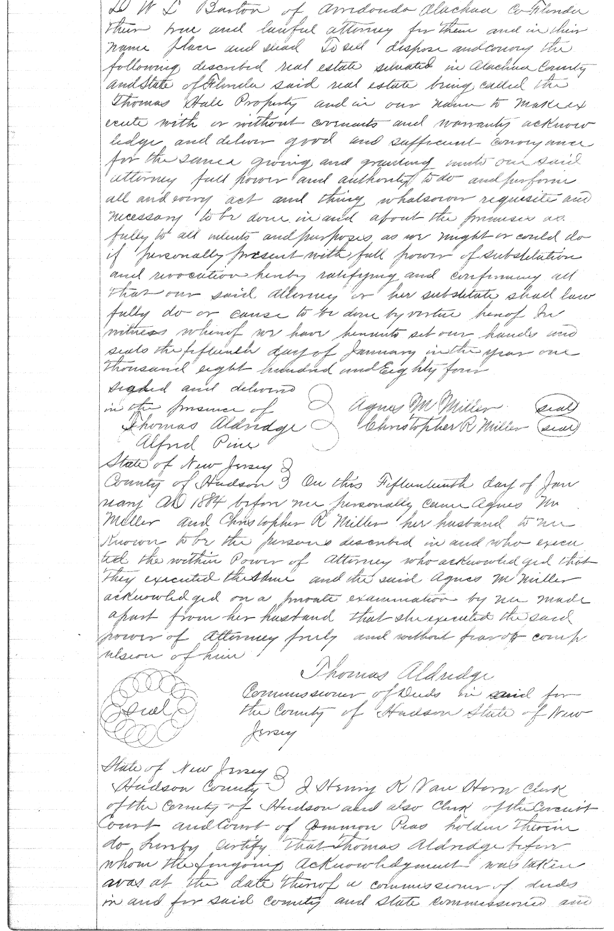 Click Here for Larger Image