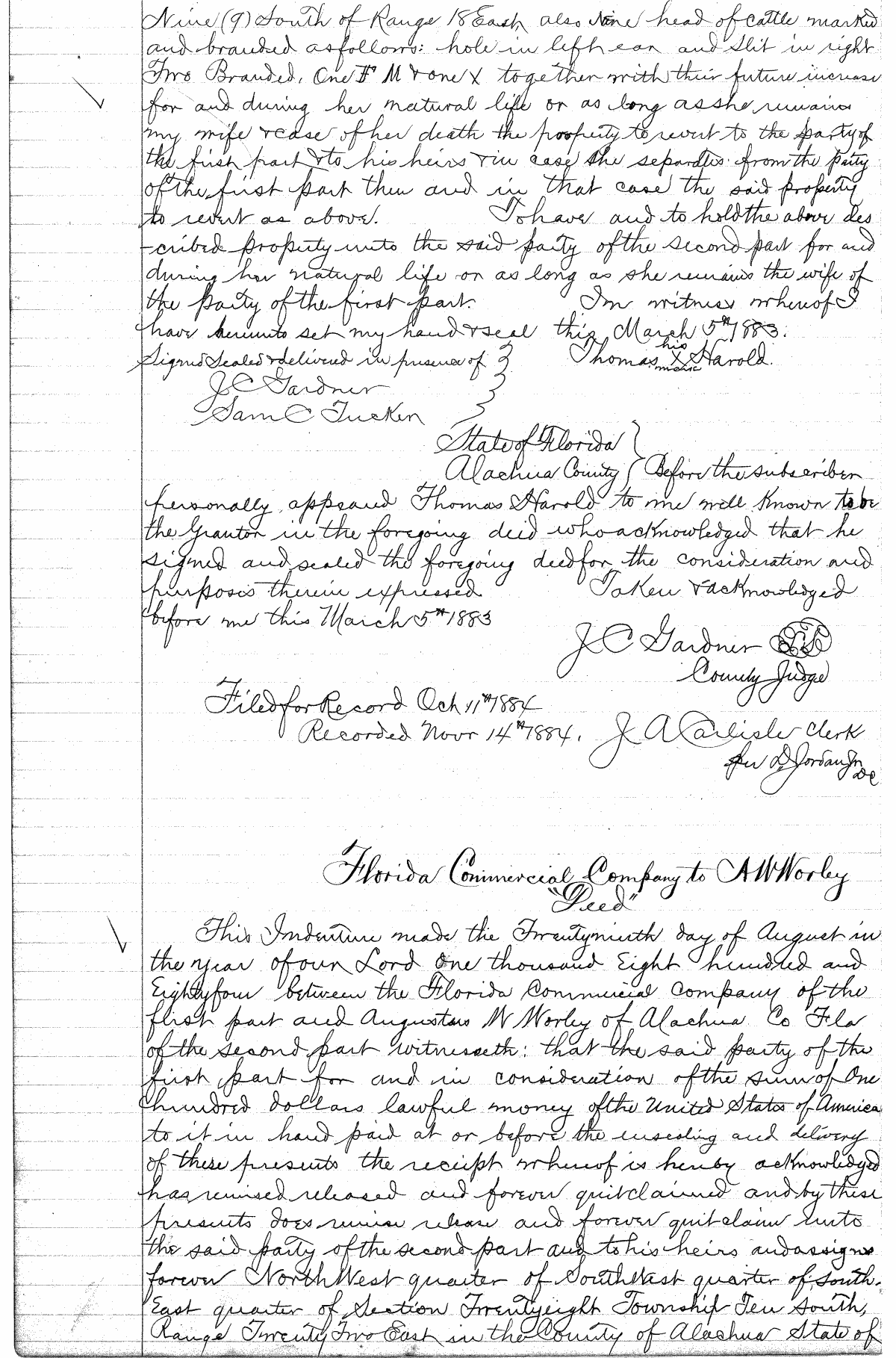 Click Here for Larger Image