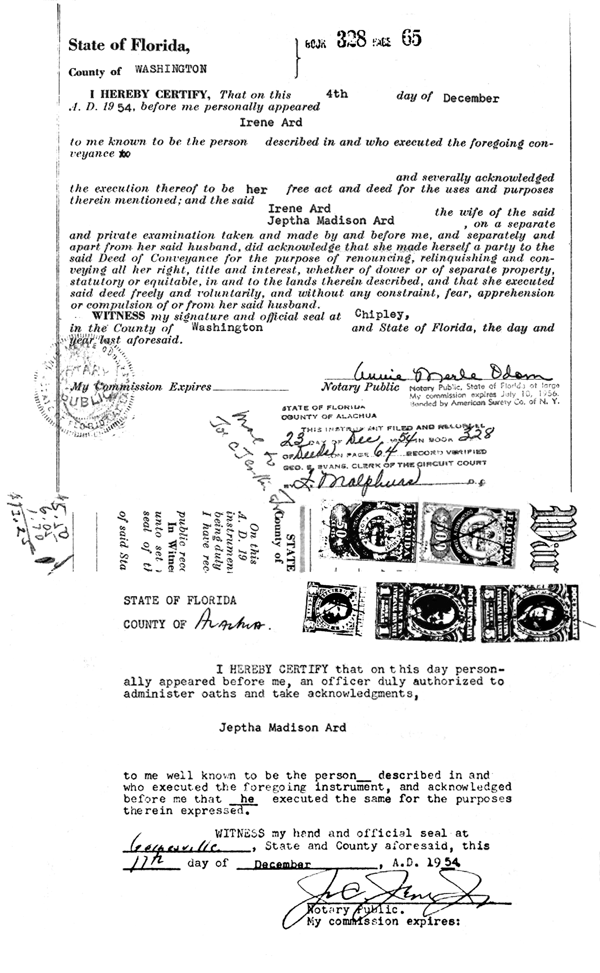 Click Here for Larger Image