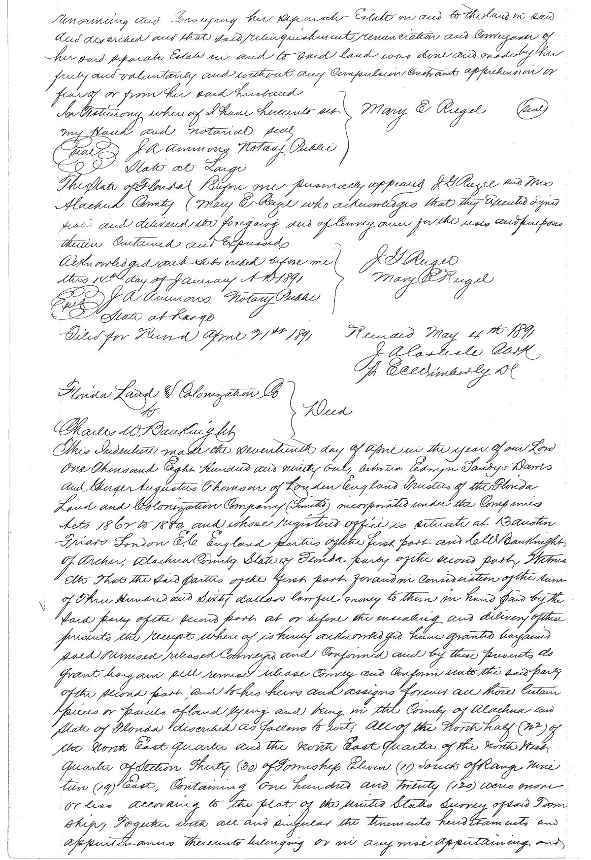 Click Here for Larger Image