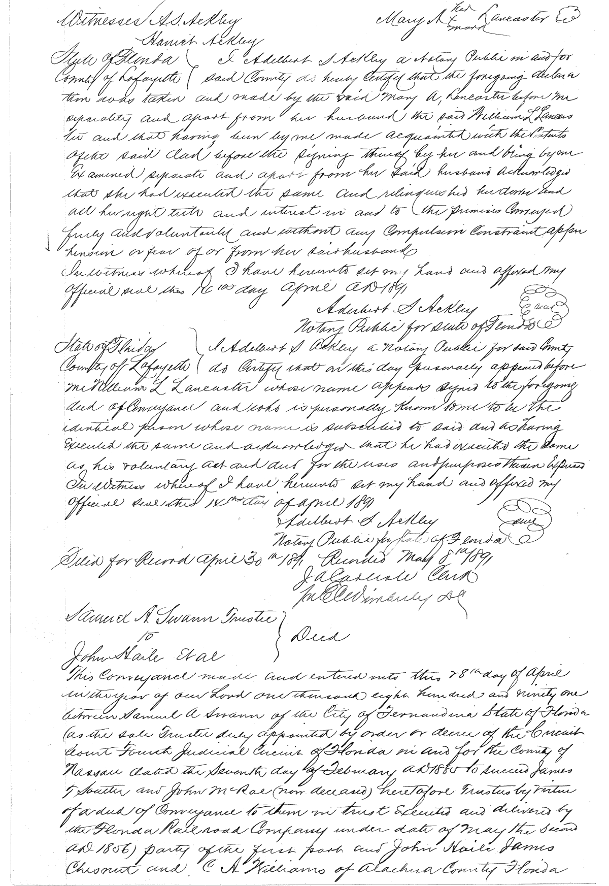 Click Here for Larger Image