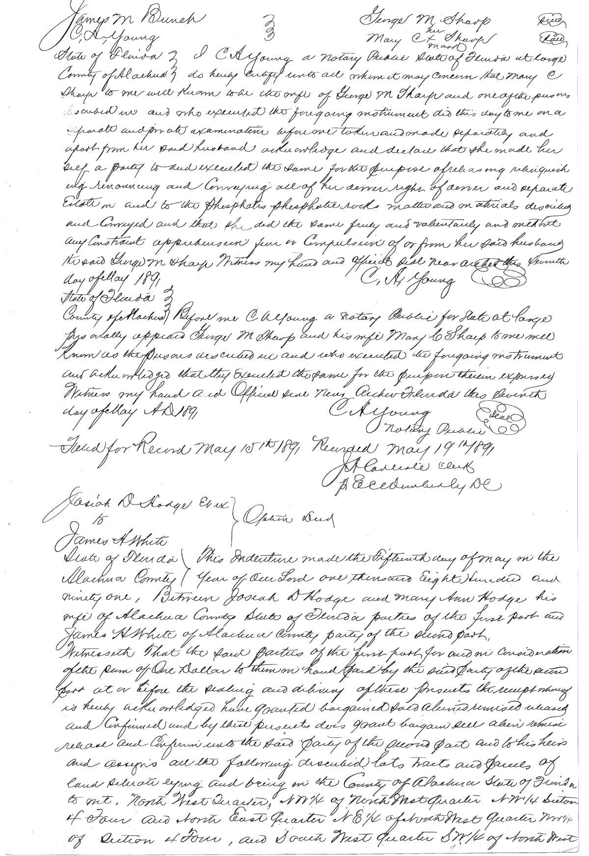 Click Here for Larger Image