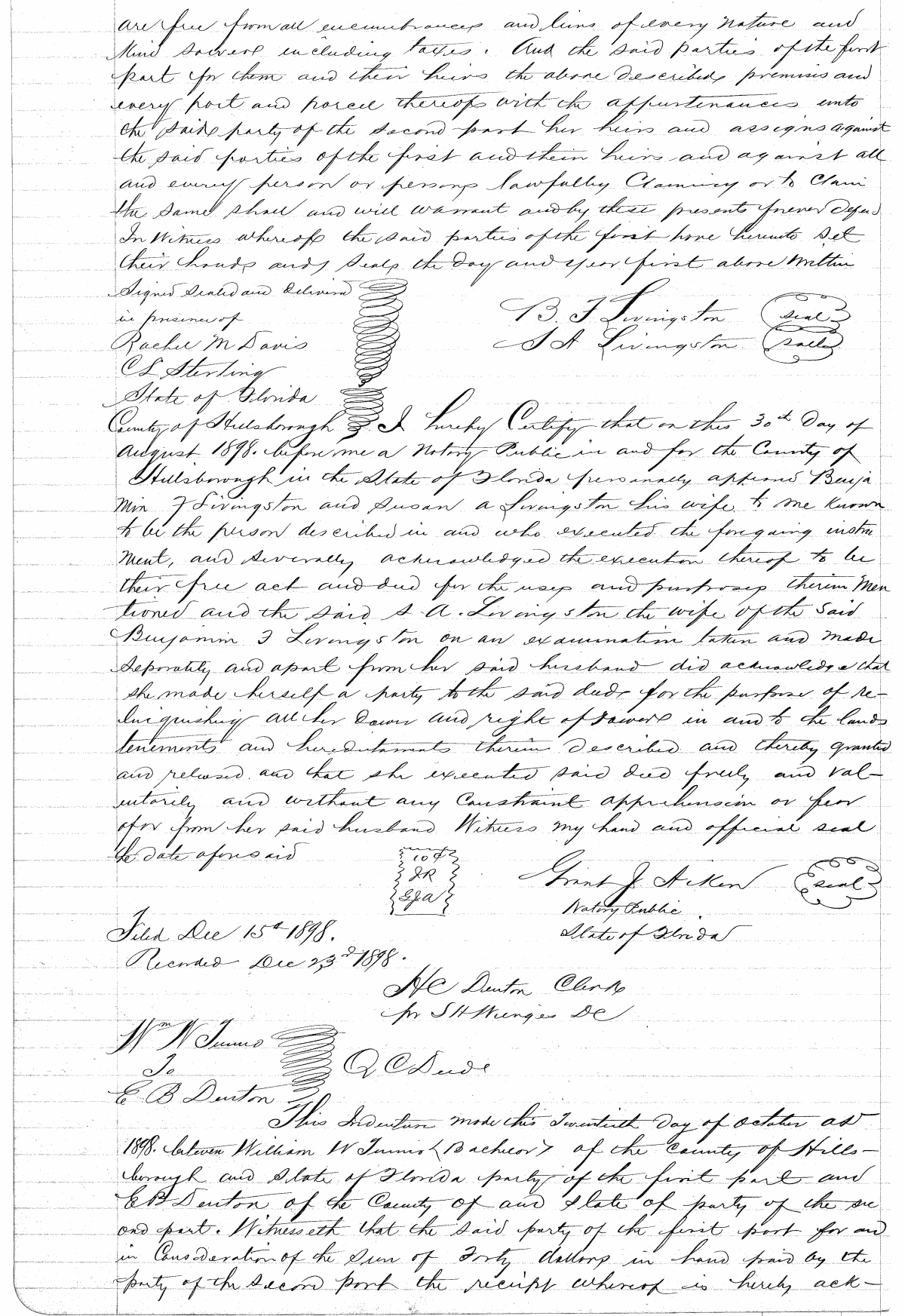 Click Here for Larger Image