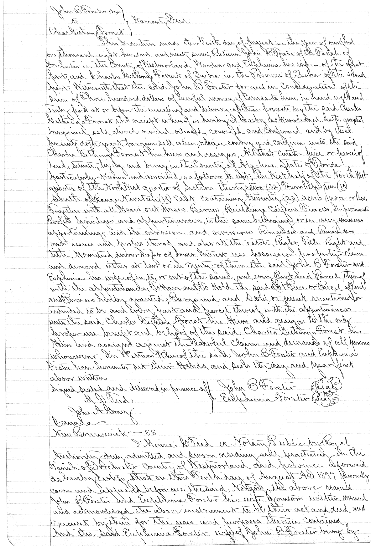 Click Here for Larger Image