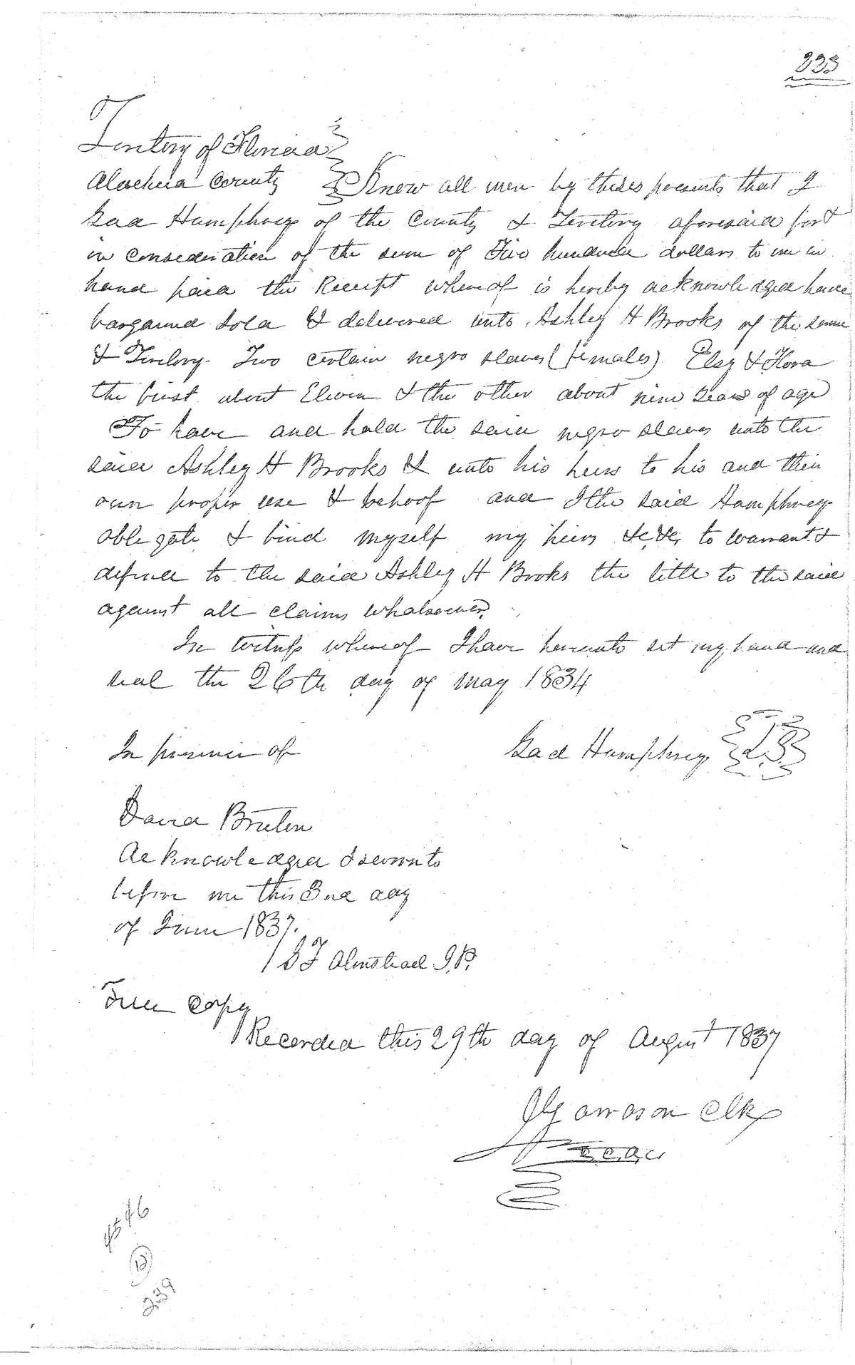 Click Here for Larger Image